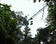 Jeřáb pro výzkum lesa