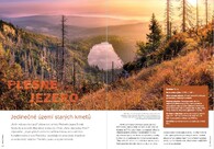 kniha Pralesy Šumavy