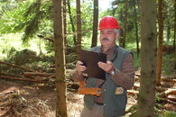 Kácení a kontrola v LČR