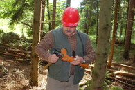 Kácení a kontrola v LČR