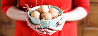 košík vajec