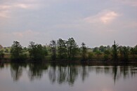 Rybník v Hostivicích