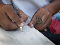 pták kroužkování pěnkava obecná