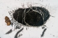 Tomáš Hulík - Labutí jezero – Veľké Leváre