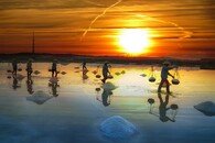 Rýžové pole v Asii