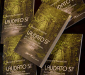 Laudato Si´ 