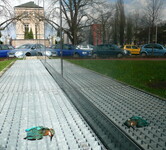 leďnáček říční