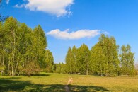 Lesopark Na Lužci Lázně Bohdaneč