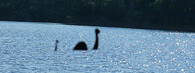 Údajný snímek Lochnessky