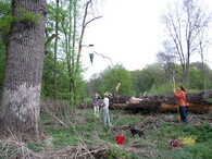 mapování jihomoravských luhů