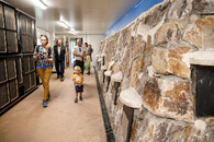 Vakoplch trpasličí