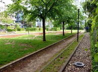 průleh v trávníku