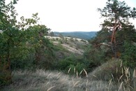 Mohelenská hadcová step