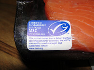 Certifikace Marine Stewardship Council