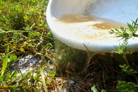 Mytí nádobí na trávě