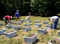 experimentální plochy 