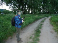 průzkum výskytu netopýrů