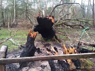 Drevljanská přírodní rezervace 