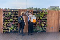 Vertikální zelená stěna a hmyzí hotel na střeše Praga Studios 