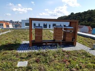 Včelí úly na extenzivní vegetační střeše Praga Studios 