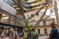 Atrium Paláce DRN s popínavými rostlinami na kamenném stromě a s truhlíky s travinami na vnitřní fasádě 