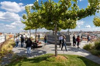 Střešní zahrada Paláce DRN s platany 