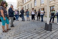 Jerlín v prokořenitelných buňkách zakrytých dlažbou se širokými spárami umožňujícími větší přívod srážkové vody než dlažba s užšími spárami ve vzdálenějších místech pěší zóny okolí Národního muzea