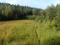 Bývalé odkaliště u Jivky