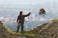 mezidruhové vztahy Ondřej Pelikán a Sofie