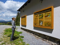 perlorodka říční