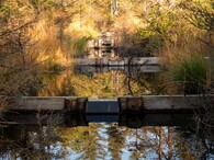 přehrážky na rašeliništi