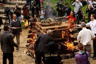 Pálení nosorožčích rohů v Zoo Dvůr Králové