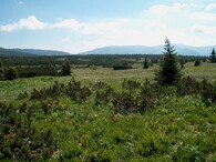 Pančavské rašeliniště