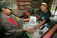 Prodej papíru ze sloního trusu