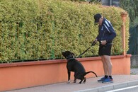 Pán uklízí po svém psovi exkrement