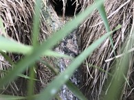 domovní čistírna odpadních vod