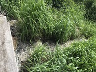 domovní čistírna odpadních vod