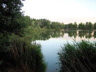 Piskovna Vliněves II