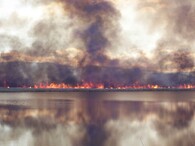 Požár v přírodě