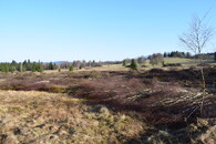 plocha během vyřezávky