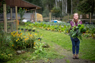 Podzimní úklid na zahradě