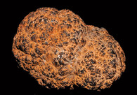 Polymetalická konkrece