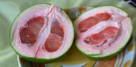 pomelo
