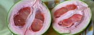 pomelo