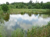 Chmeliště na Kutnohorsku