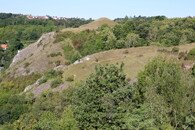 přírodní rezervace Homolka