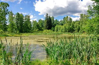 PR U Sedmi rybníků ve CHKO Slavkovský les