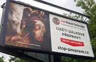 billboard přeprava zvířat