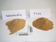 tygr nosorožec prášek 