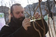 Happening Poslední alej